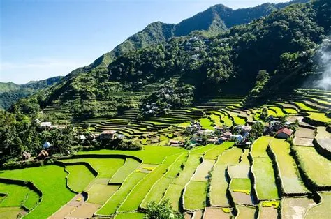  When Water Blooms: A Journey Through Philippine Rice Culture : Une Exploration Lyrique de la Nature et des Traditions